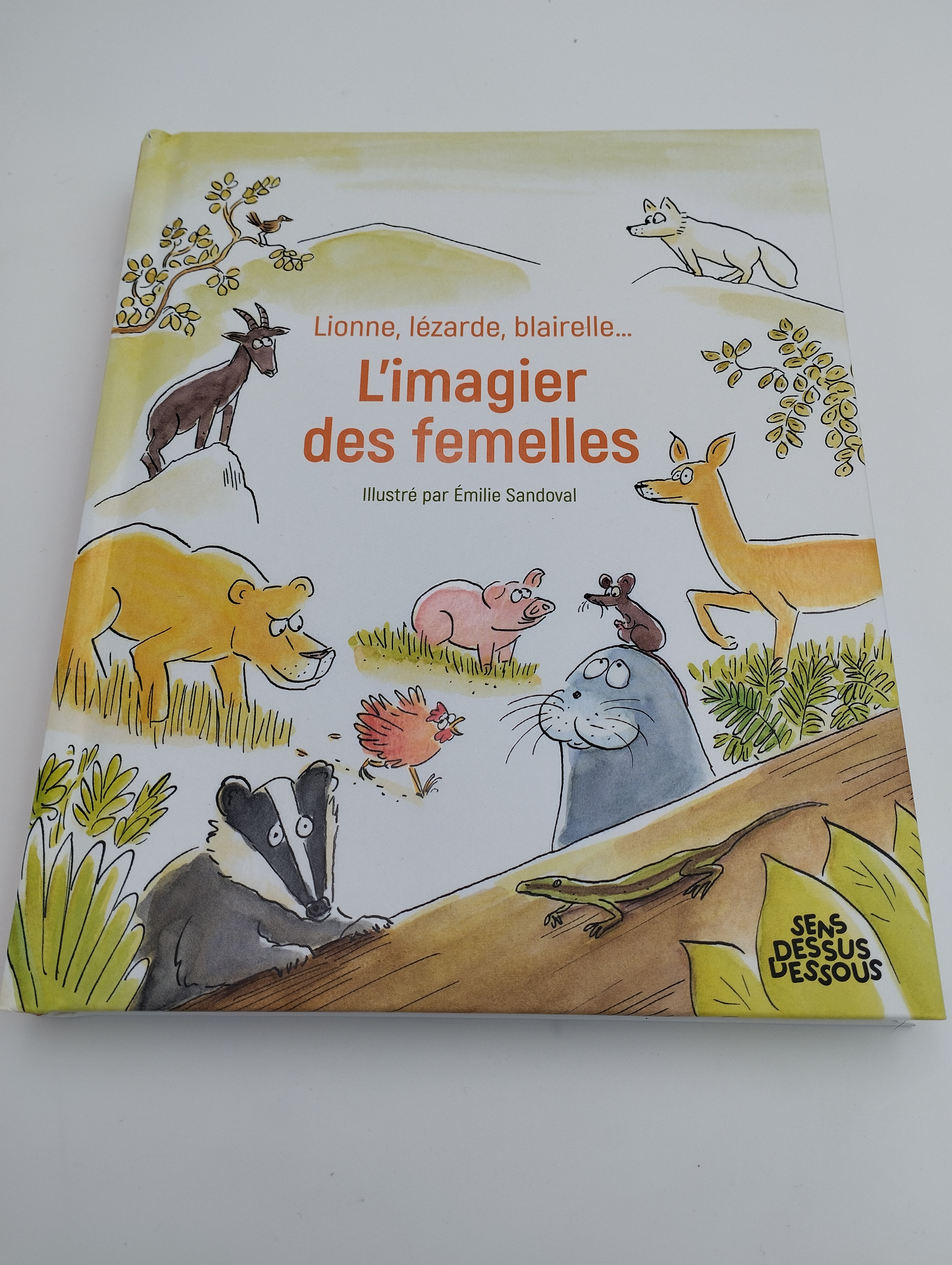 Lionne, lézarde, blairelle : l’imagier des femelles