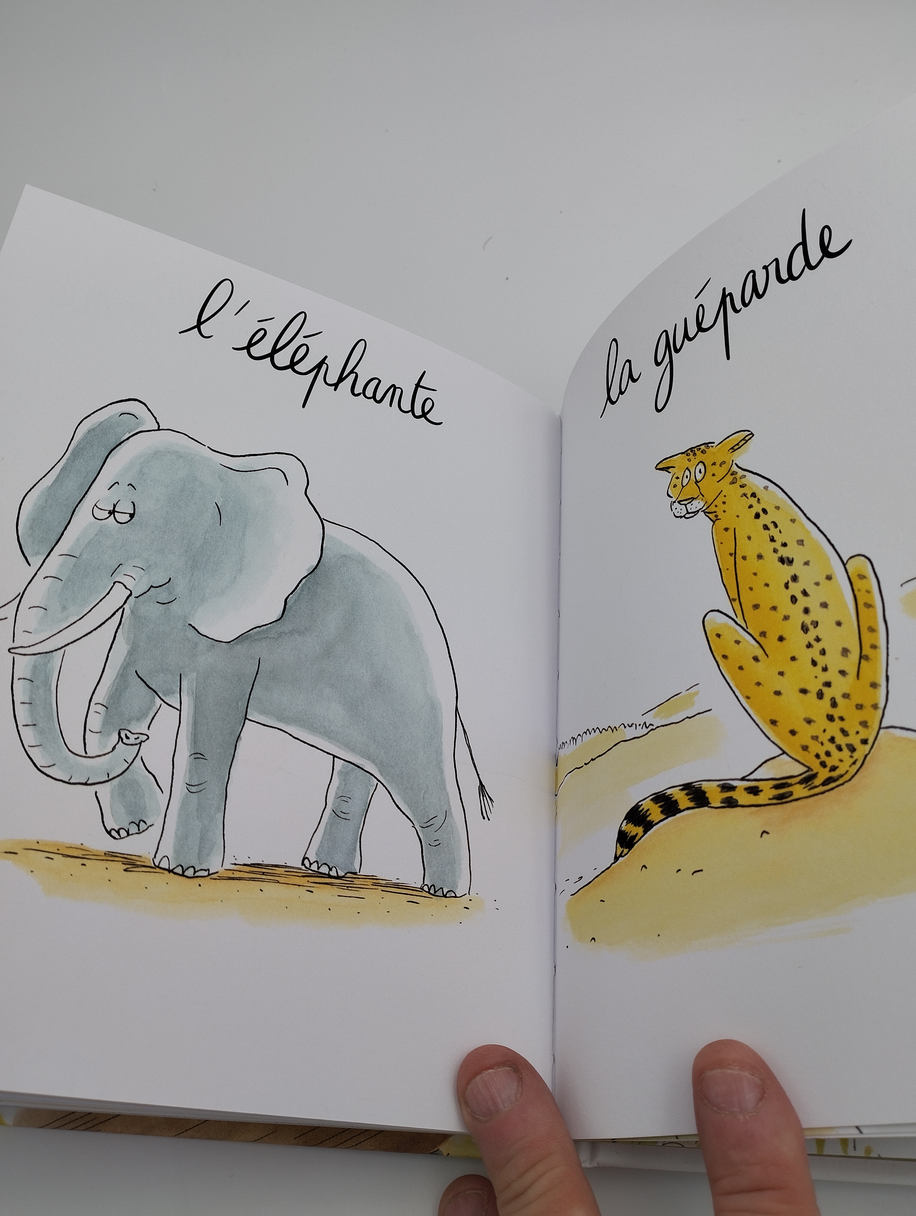 Lionne, lézarde, blairelle : l’imagier des femelles