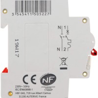  THOMSON Disjoncteur à vis PH+N - 16A NF - Pouvoir de coupure 4.5KA