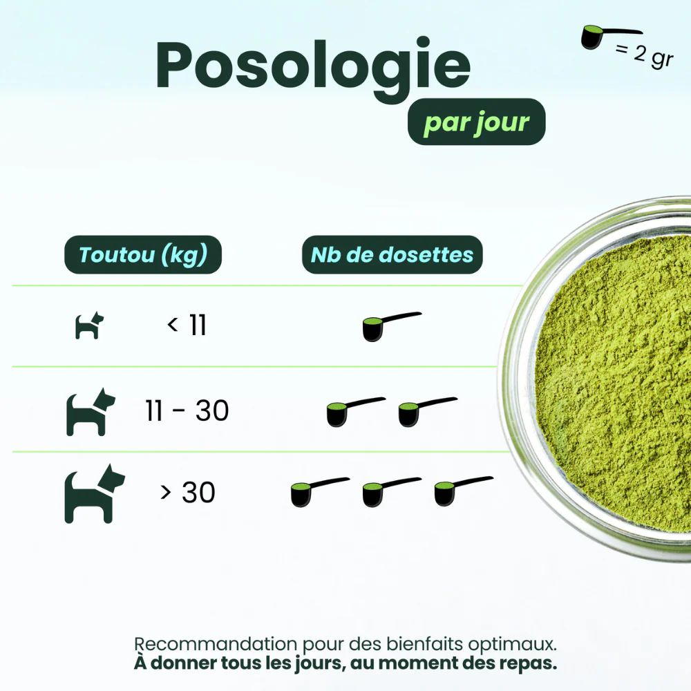 Complément dentaire haleine, dents et gencives pour chien BESTI